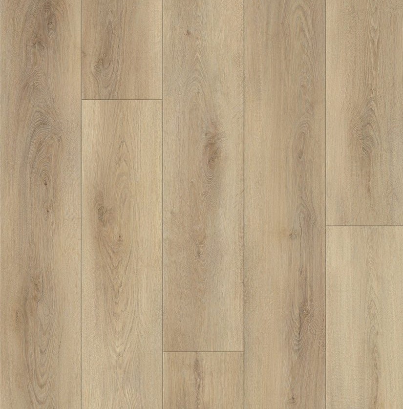 ディーライク　LP86 ジャンク 818248.jpg