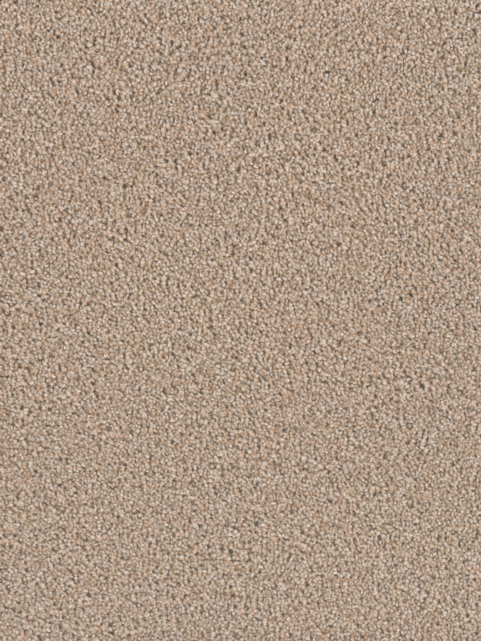 Carpet | DREAM WEAVER EXCEPTIONAL II ICED COFFEE | Flooring