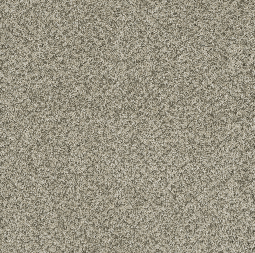 Carpet | Dream Weaver BRAZEN I ACADIA | Flooring Liquidators
