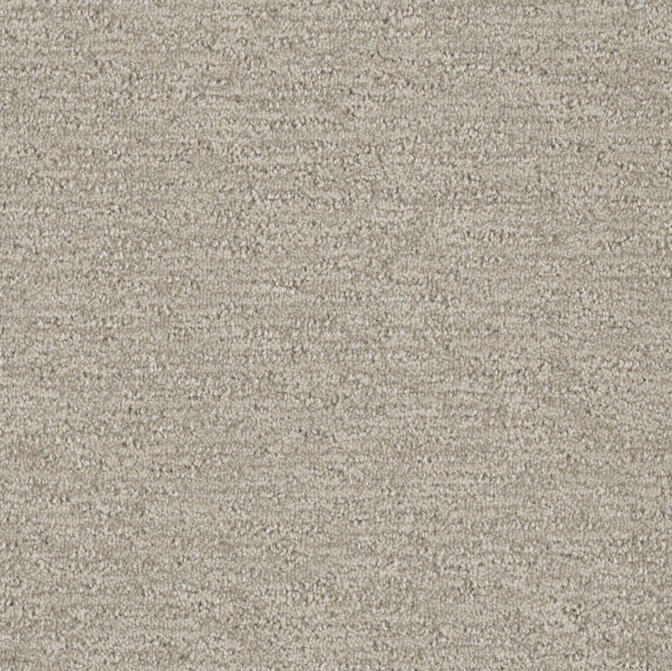 Carpet | DREAM WEAVER FINISHING TOUCH COSMO | Flooring Liquidators