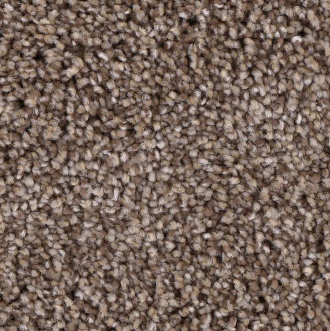 Carpet | PHENIX FRONT RUNNER UPHOLDER | Flooring Liquidators