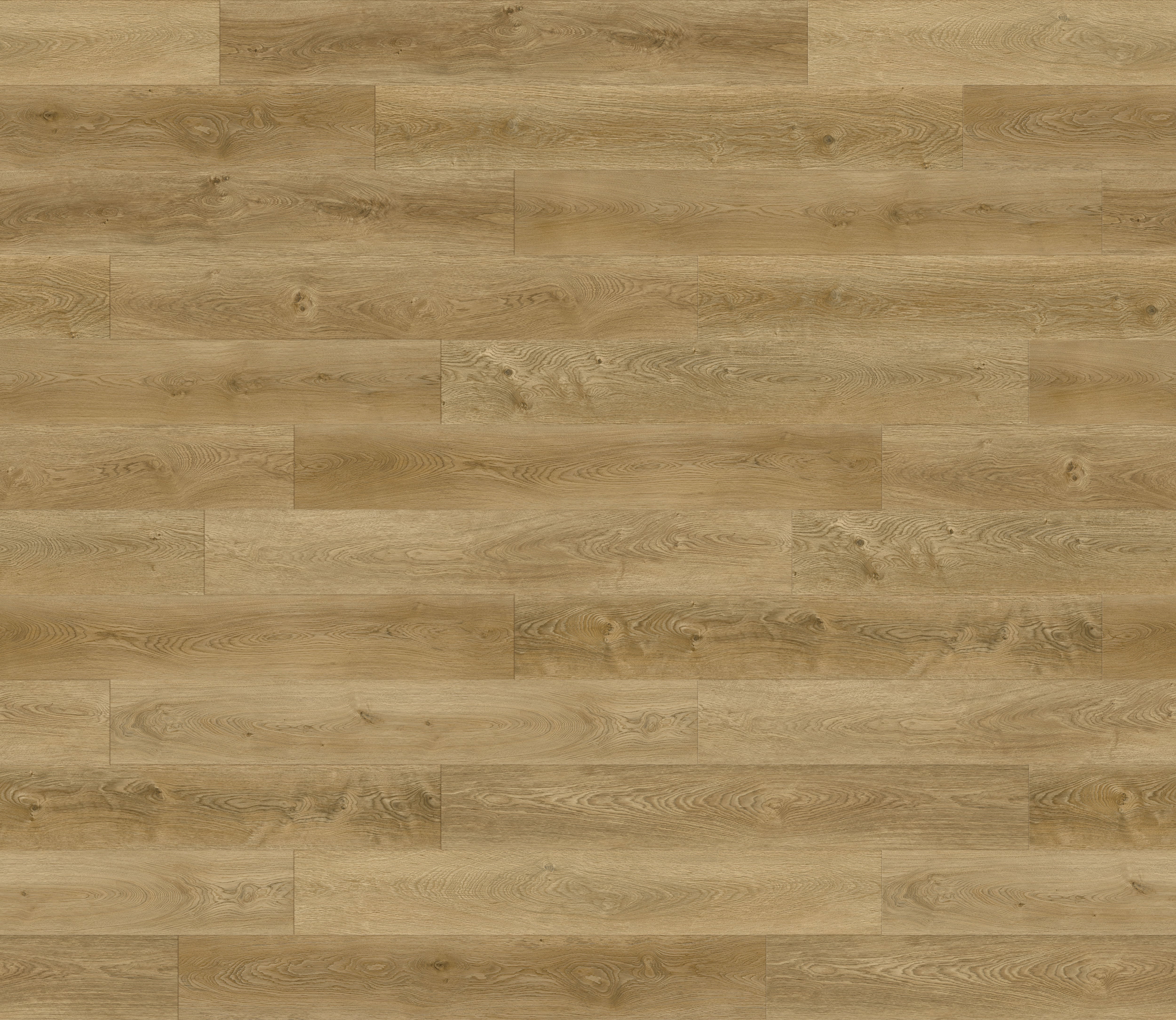 November LVT （LIVER TWIN） 144cm Triumph New Standard II, The New Standard II, Wood Look