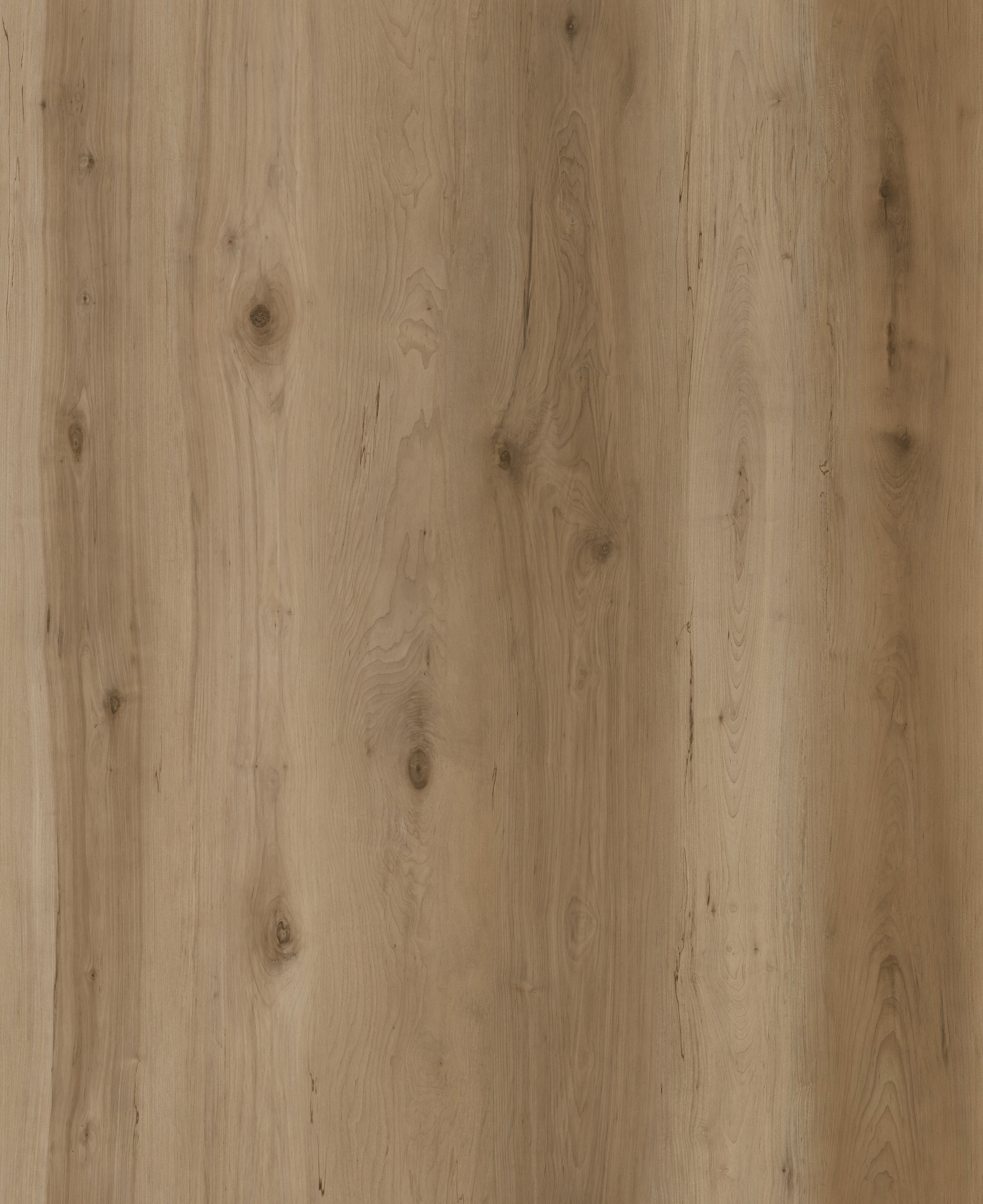 ネイチャー・メディテーション by ハズラット・イナヤット・カーン